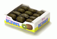 (image for) Miniature Kiwi Case for Dollhouses