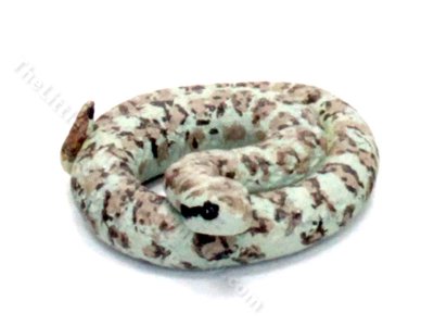 (image for) Miniature Rattle Snake by Karl Blindheim