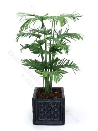 (image for) Miniature Potted Parlour Palm by Mini Creations by Judy