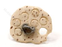 (image for) Miniature Cookie Dough with Cookie Cutter for Dollhouses