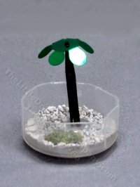 (image for) Miniature Turtle in a habitat for Dollhouses