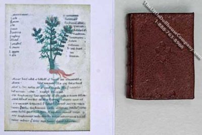 (image for) Miniature Book: 'De Virtutibus Bestiarum In Arte Medicinae'