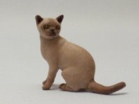 (image for) Miniature Sitting Champagne Burmese Cat by Karl Blindheim