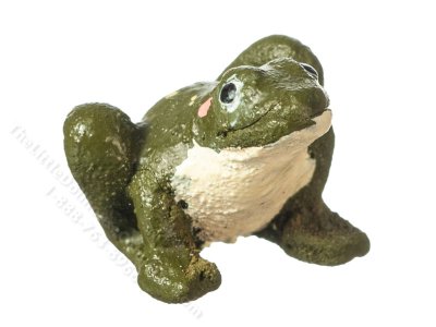 (image for) Miniature Frogs for Dollhouses