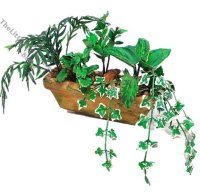 (image for) Miniature 5 Plant Window Box Kit