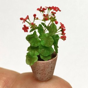 (image for) Studio Viola Miniature