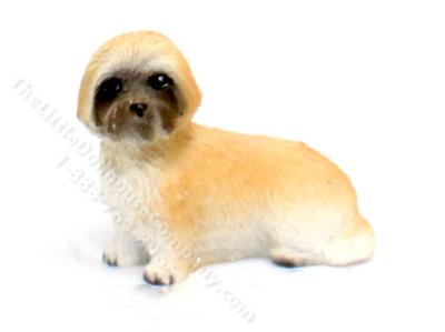 (image for) Miniature Apricot Pekingese for Dollhouse