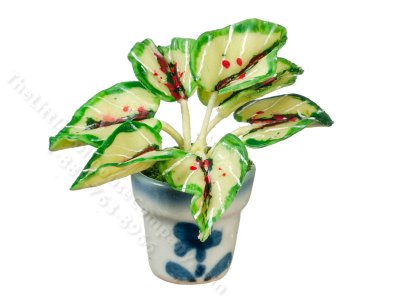 (image for) Miniature Caladium Plant in a Pot for Dollhouses