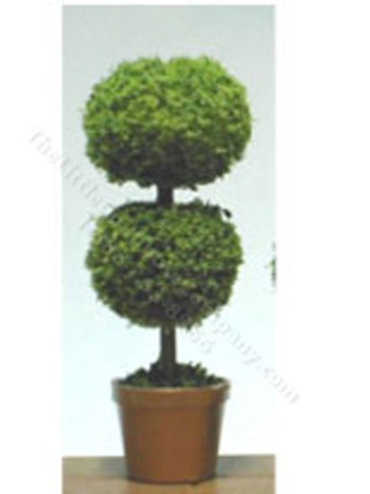 (image for) Miniature 2.75 inch Topiary for Dollhouses