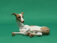 (image for) Miniature Italian Greyhound Laying w Head up by Karl Blindheim