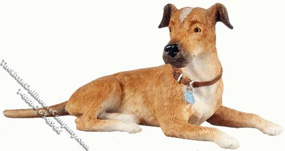(image for) Miniature Dog Lying Down for Dollhouses