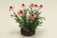 (image for) Miniature Pink Cone Flowers in Soil, Mini Creations by Judy