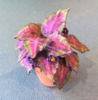 (image for) Miniature House Plant Kit For Dollhouses