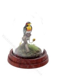 (image for) Miniature Bird-of-Paradise Under Dome for Dollhouses