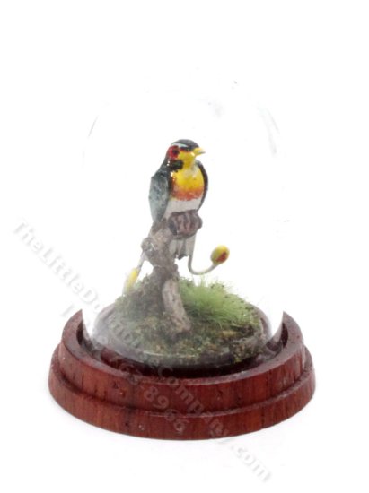 (image for) Miniature Bird-of-Paradise Under Dome for Dollhouses