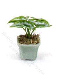 (image for) Miniature Arrowhead Plant for Dollhouses