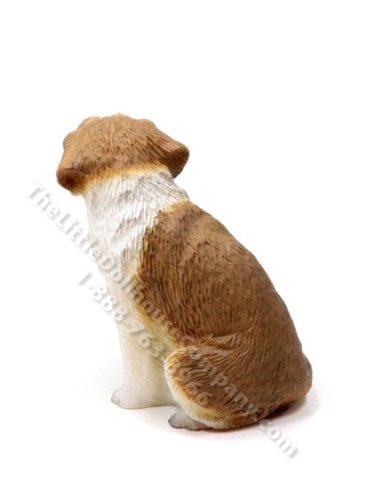 A generic image