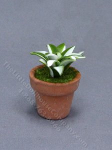 (image for) Miniature Potted Succulent for Dollhouses