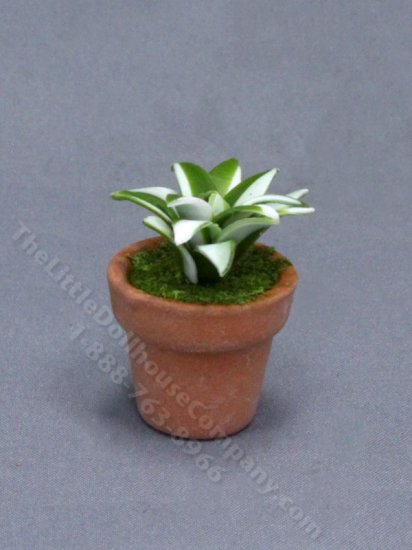 (image for) Miniature Potted Succulent for Dollhouses