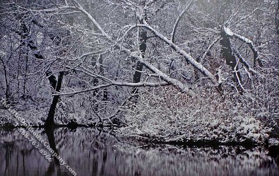 (image for) Winter Woods Scene Miniature Mural for Dollhouses