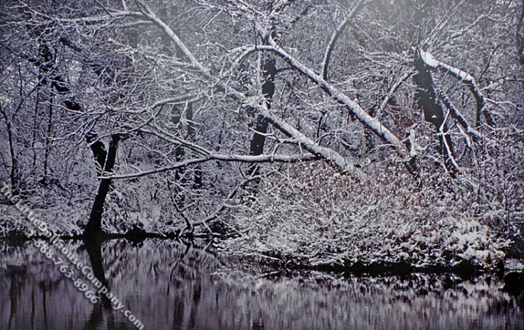 (image for) Winter Woods Scene Miniature Mural for Dollhouses