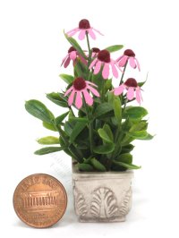 (image for) Miniature Purple Cone Flowers in Box by Mini Creations by Judy