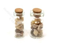 (image for) Miniature Jar of Seashells for Dollhouses (1pc)