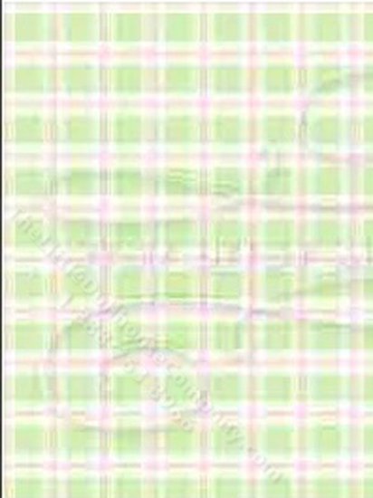 (image for) Green Bird Toile Plaid Pattern Wallpaper for Dollhouses