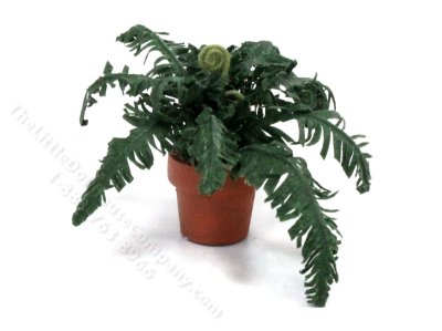 (image for) Miniature Potted Fern for Dollhouses