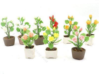 (image for) Miniature Planters of Roses