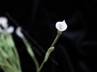 (image for) Miniature Single White Calla Lily for Dollhouses (1 pc)