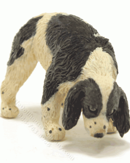 (image for) Miniature Black and White Spaniel Dog