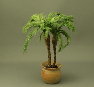 (image for) Palms in Pot