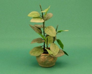 (image for) Dollhouse Miniature Plant in Large Pot