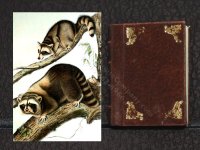(image for) Miniature Book: 'Quadrupeds of North America'
