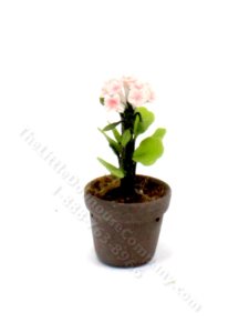 (image for) Miniature Pink Adenium Plant for Dollhouses