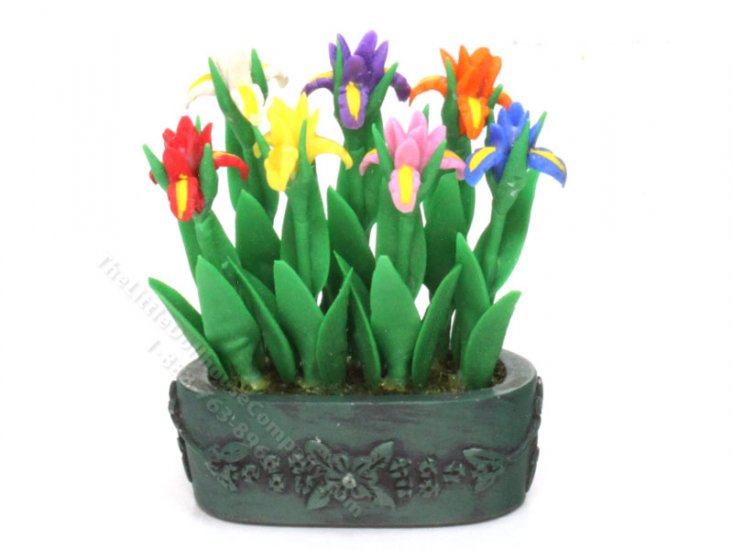 (image for) Miniature Oblong Pot of Colorful Lilies