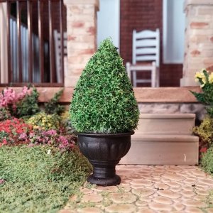 (image for) Miniature 2" Spruce Tree Topiary in Black Planter Pot