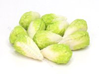 (image for) Miniature Head of Romaine Lettuce