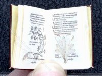 (image for) Miniature Book: 'Herbarius'
