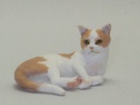 (image for) Minature Laying American Shorthair Cat by Karl Blindheim