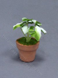 (image for) Miniature Potted Arrowhead for Dollhouses