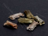 (image for) Dollhouse Scale Model Dog Biscuits