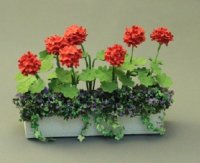 (image for) Window Box with Red Geraniums, by Judy