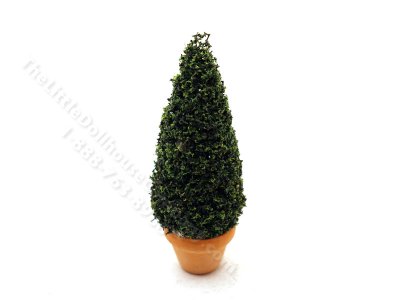 (image for) Miniature 3 inch Spruce Topiary for Dollhouses
