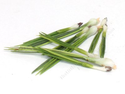 (image for) Miniature Green Onion Stalk