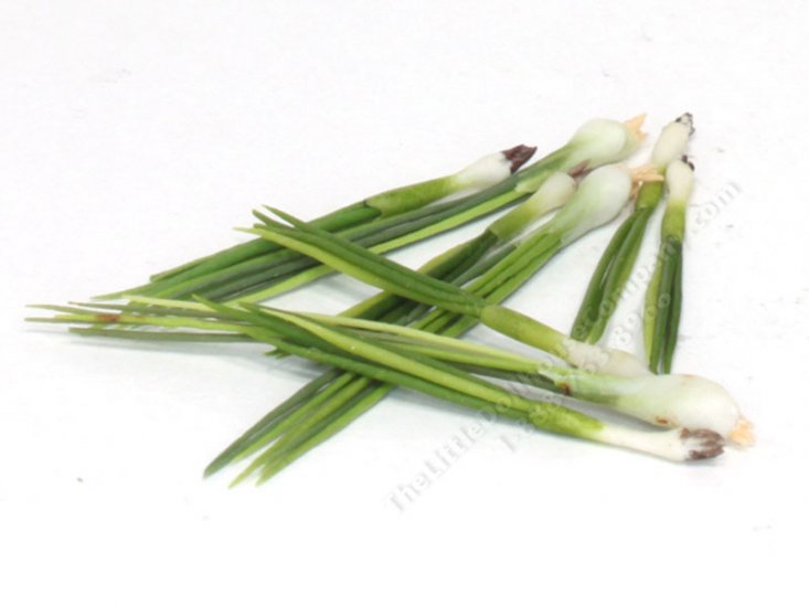 (image for) Miniature Green Onion Stalk
