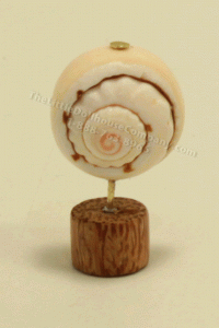 (image for) Miniature Seashell Sculpture by PRD Miniatures