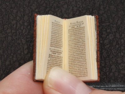 (image for) Miniature Book: 'Princeps'