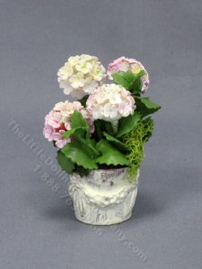 (image for) Miniature Pale Pink Hydrangeas in a Ornate Pot